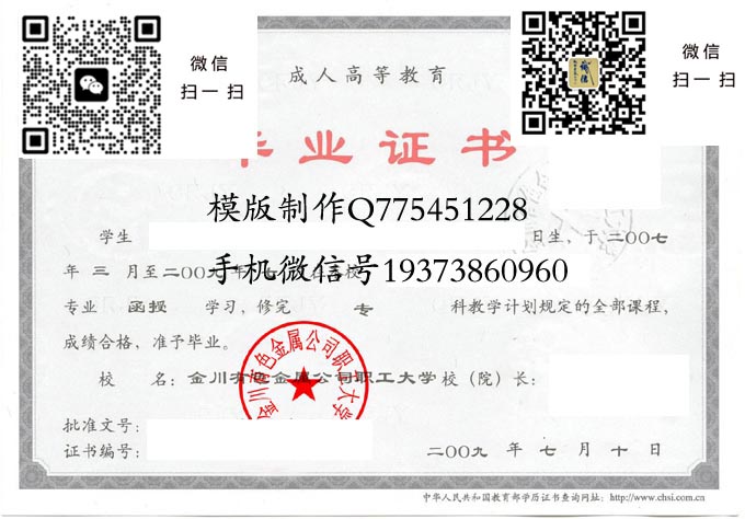 金川有色金属公司职工大学2009成人 拷贝